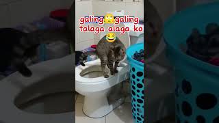 short funny video"awit"