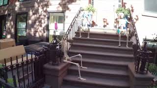 #США Осень в Нью Йорке 2024 // Cobble Hill // Мой любимый район Бруклина, ч. 1