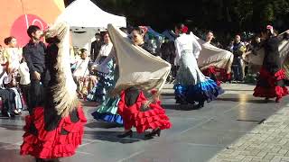 東大駒場祭