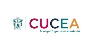 Encuentro Internacional de Instrumentos Cibernéticos para la Sustentabilidad y la Democracia Día 2