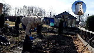 Дела садово- огородные.  копаю, сажаю.