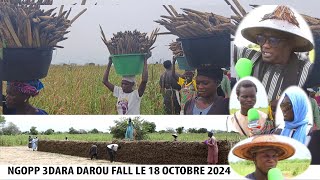 Ngobb 3 Daras Darou Fall LE 18 Octobre 2024 n1