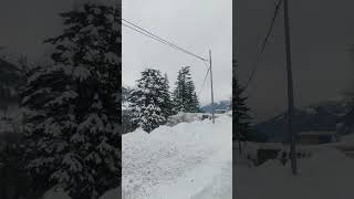 HEAVY SNOWFALL MANALI