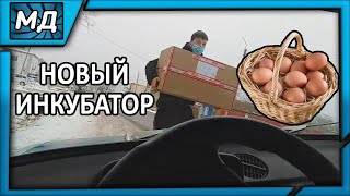 ✓ПРИОБРЕЛИ НОВЫЙ ИНКУБАТОР/ ЗАКЛАДКА ЯИЦ.