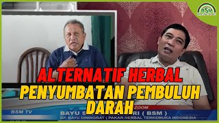 Alternatif Herbal Penyumbatan Pembuluh Darah