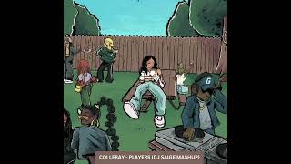 Coi Leray - Players (DJ Saige Mashup)