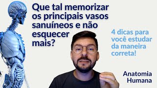 QUE TAL MEMORIZAR OS PRINCIPAIS VASOS SANGUÍNEOS E NÃO ESQUECER MAIS? 4 DICAS PARA ESTUDAR MELHOR!