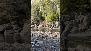 Minnesota rock hunting in a river