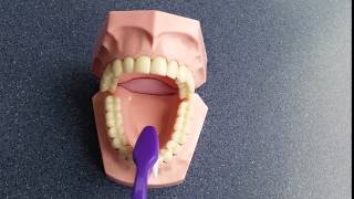 Tooth brushing demonstration film