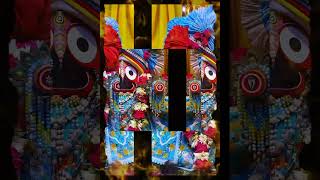 Jagannath Rath Yatra 2024 Status video #viral #shorts #rathyatra2024 #jagannath 🚩🚩 7 July 💥🌺🌸