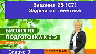 Разбор задачи по генетике.Анемия и дальтонизм. ЕГЭ  по биологии