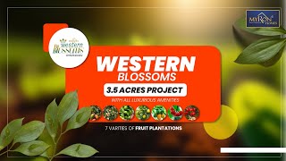 Myron Western Blossoms is located in Shankarpally | Farmlands near Hyderabad | Myron Homes