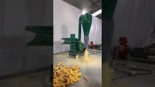 HAMMER MILL / CRUSHER MACHINE!!! #agritechsupplier #farming #machine #feedpelletmaker #p