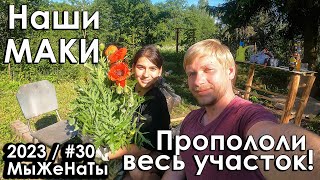 #30/2023/ Привезли МАКИ и новые ХОСТЫ / Пололи весь день / МыЖеНаТы