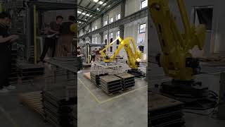 4 Axis robot handling plate palletizing applications