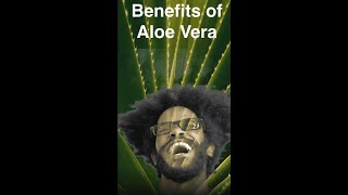 Aloe Vera Benefits for Face and Skin IAloe Vera Gel for Face  #shorts