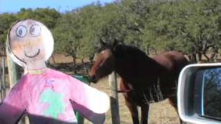 Flat Stanley on the Farm in Fredericksburg Texas