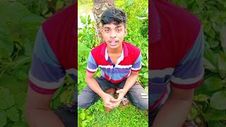 # আমি পাথরের ফুল ফটাবো #multimedia #comedyvideo#funny #funnyshorts #youtob_updet_shot_video