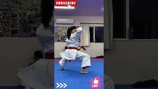 Karate Kata Practice #karate #katakata #sports #olympics #shorts #mma #trending #ukraine #uk #usa