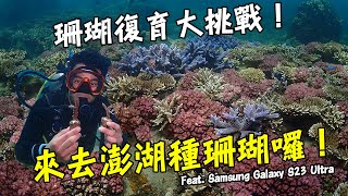 【澎湖】來去澎湖復育珊瑚！你知道珊瑚要怎麼種嗎？！為海洋永續貢獻一份心力！ Feat. Samsung Galaxy S23 Ultra