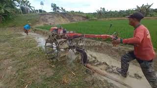 traktos sawah mebajak!