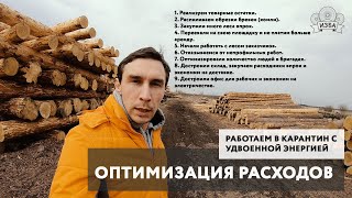 Оптимизируем расходы производства. Рубим срубы с удвоенной энергией в период карантина.