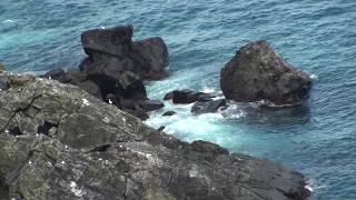 Sector de "El Arrecife" Noreste del Santuario de Flora y Fauna Isla Malpelo