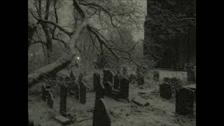 OBLIVION WINTERS - THE WEEPING SHADOWS(2024)