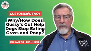 Want to Stop Your Dog from Eating Poop? Gussy's Gut Has the Answer!