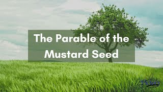 Pastor Scott Anderson: The Mustard Seed 9/8/24 Am