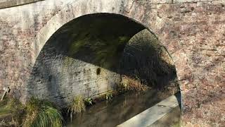 The Montgomery Canal Garthmyl  14 Feb 2023