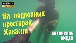 Подводная охота на водных просторах Хакасии. Добрые окуни (с озвучкой)