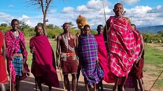 Jumping so high to get married 😲😮😋 Masai Mara Dance is a tradition in Kenya