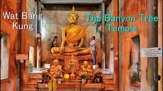 THAILAND:  Wat Bang Kung - The Banyan Tree Buddhist temple - Ampawa, Samut Songkhram