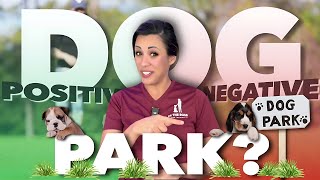 Am I The Only Dog Trainer Who Doesn't Hate Dog Parks?