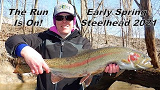 Indiana Tributary Steelhead: Early Spring Steel 3/7/21