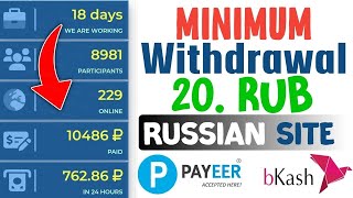 অনলাইনে টাকা আয় করুন সহজে payeer income site  new russian earning website