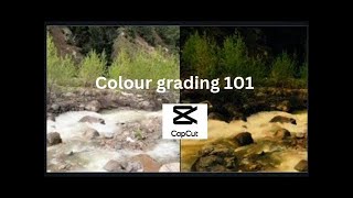 Master Capcut Colour Grading! EASY Tutorial for Beginners in 2024!