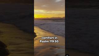 🕊️Comfort in Affliction: Psalm 119:50 #godspromise #comfortinfaith #peacefulscriptures #timeless