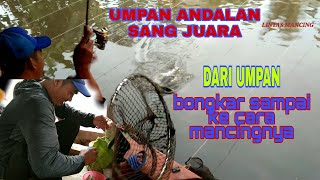 umpan jitu master indukan ikan mas di jamin ga bakalan zonk... lengkap dengan cara mancingnya.