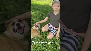 Ищем дом 🏠 прекрасному песику 🐕 Тузе❤️!