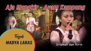 Aja Mungkir - Ayam Kampung