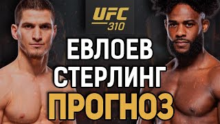 ДАЛЬШЕ - ТИТУЛ?! Мовсар Евлоев vs Алджамейн Стерлинг / Прогноз к UFC 310