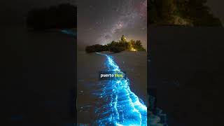 Bioluminescent Beach 🌊 : Nature’s Glowing Wonder! 🌟