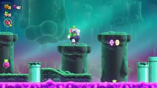 Swamp Pipe Crawl. ALL purple Coins and  100% Wonder Seeds