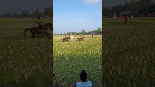 ঘোড়া দৌড় প্রতিযোগিতা #goatrace