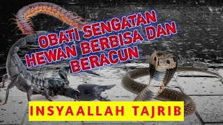 TAJRIB!!!DOA ANTI RACUN HEWAN BERBISA