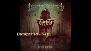 Decapitated - Nest Drums