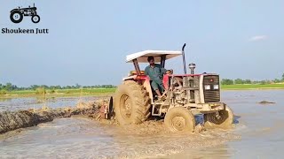 MF 385 Tractor Working With Full Down 54 Cutter Rotavator In Mud With Amazing Power Of Engine 😍💪👌