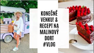 KONEČNĚ VENKU & RECEPT NA MALINOVÝ DORT